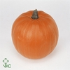 Sierfruit Cuc Maxima Halloween