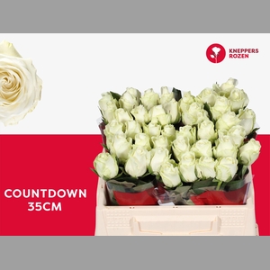 R GR COUNTDOWN!
