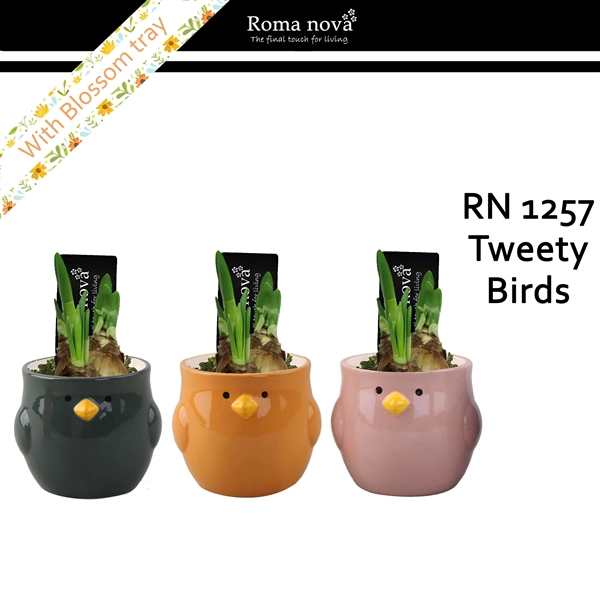 <h4>1257 - Tweety Birds (Tete a Tete)</h4>