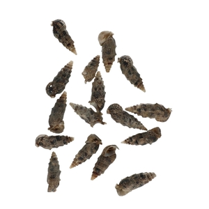 Cerethium Aloco 500gr