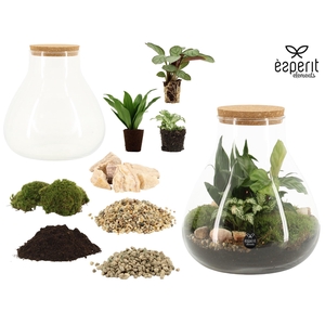 90856: DIY Terrarium Large Erlenmeyer D22 / H23