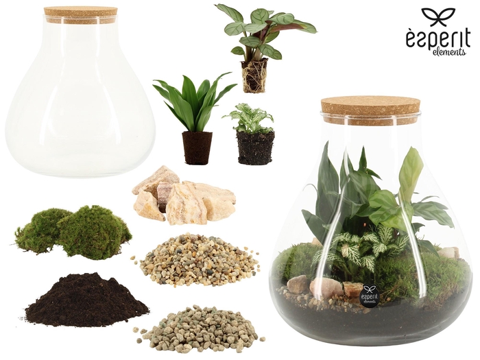 <h4>90856: DIY Terrarium Large Erlenmeyer D22 / H23</h4>