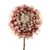 Chrysanthemum Mauve Cream FL440197MAU