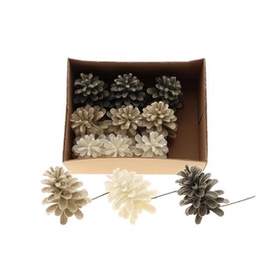 Pinecone Dinan Glitter L11D9