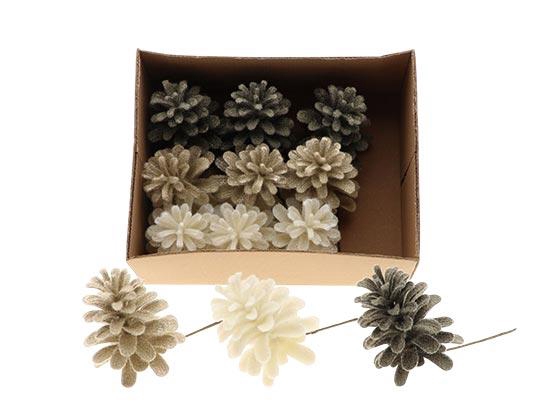 Pinecone Dinan Glitter L11D9