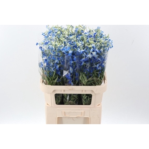 Delph En Volkerfried