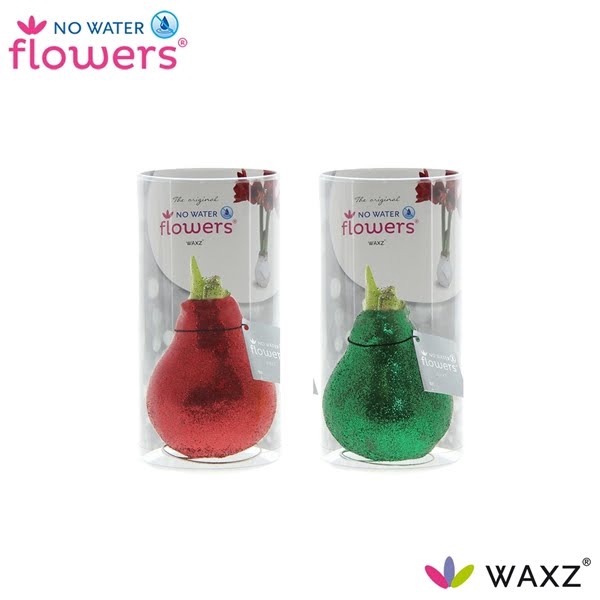 <h4>No Water Flowers Glitterz® Mix Traditional Rood/Groen in koker</h4>