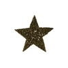 Festive Star Poplar Moss 70x70x9cm