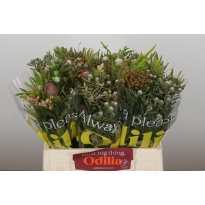 Kaaps Groen Cone Mix