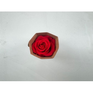 Ro Pres Medium Scarlet