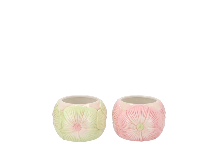 Demi Pastel Flower Pot Ass 9x9x6cm