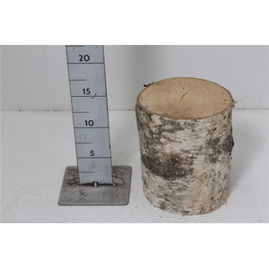 Deco Berkenstam H15 D12