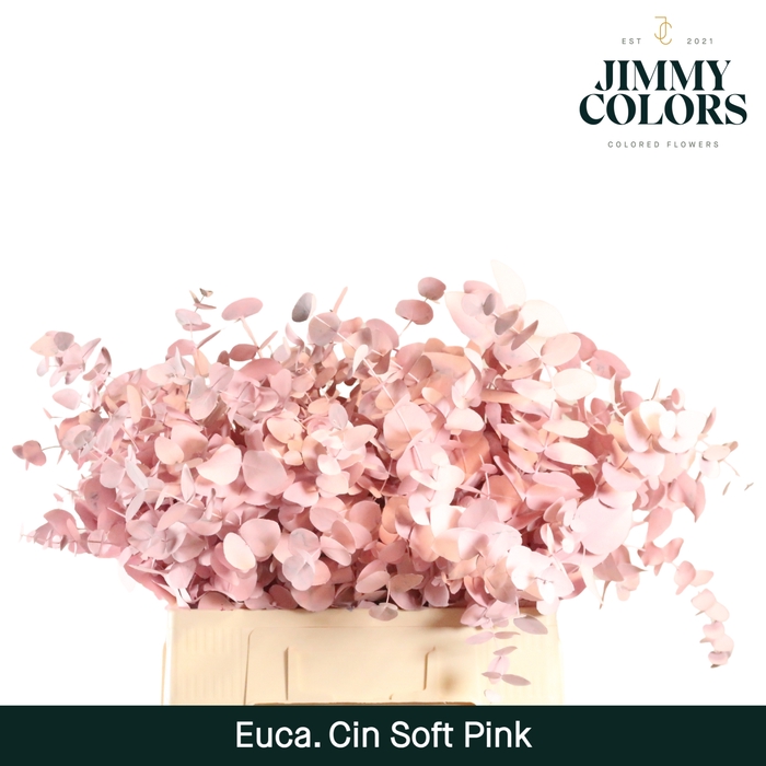 <h4>Cinerea per bos 200g Soft pink</h4>