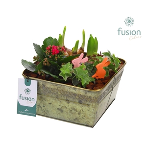 Zink schaal Voorjaar met arrangement