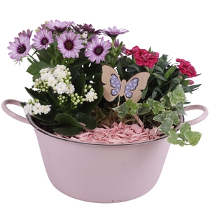 Spring Flower Arr. Outdoor Zinc Bowl with Handles Pink Ø26cm 4PP