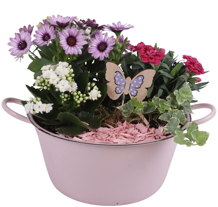 <h4>Spring Flower Arr. Outdoor Zinc Bowl with Handles Pink Ø26cm 4PP</h4>