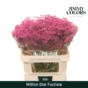 Gyps Million Star L80 Fuchsia