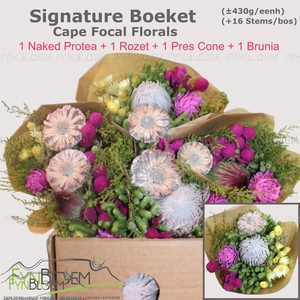 KAAPS GROE GEM IN BS