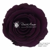PRESERVED ROSES L PUR-01