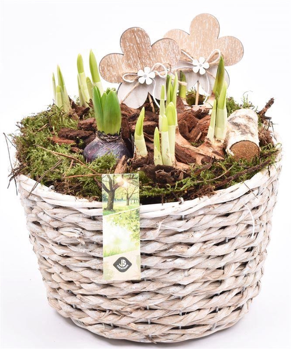 <h4>Touwmand mais 25cm</h4>