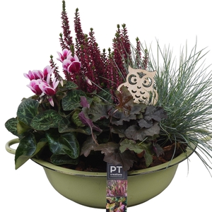 Arr.   Tuinplanten L%