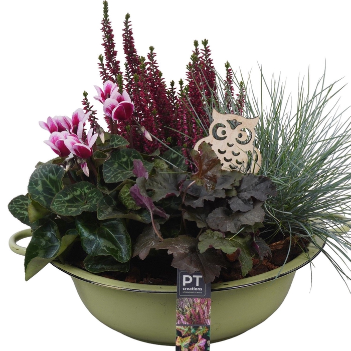 <h4>Arr.   Tuinplanten L%</h4>