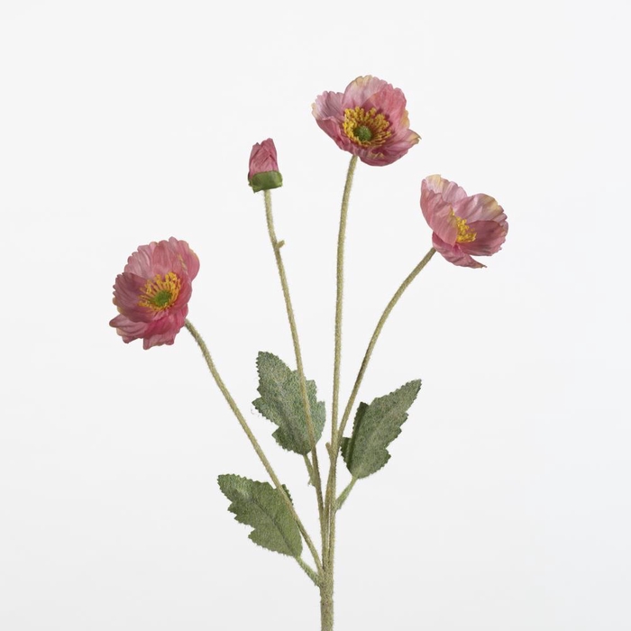 <h4>AF Papaver spr/4 fl L60cm d.pi</h4>