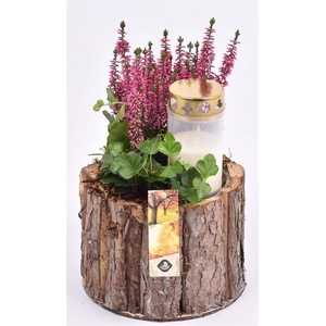 arr4 Allerheiligen JS2119 Pot boomschors 18cm