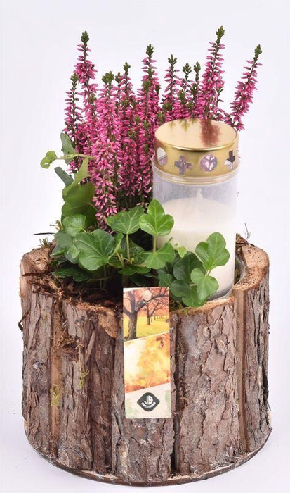 <h4>arr4 Allerheiligen JS2119 Pot boomschors 18cm</h4>