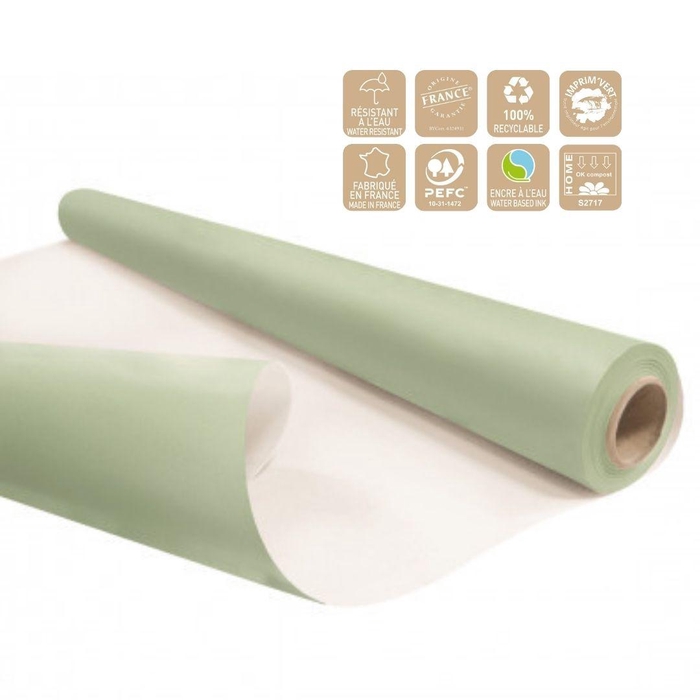 <h4>Paper Roll 80cm 25m Eco waterp.</h4>