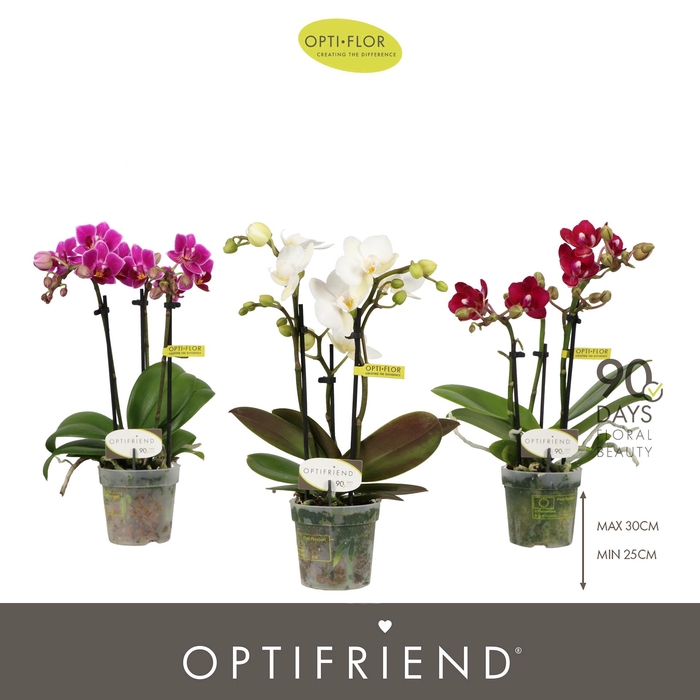 <h4>Optifriend Mix 3 spike</h4>