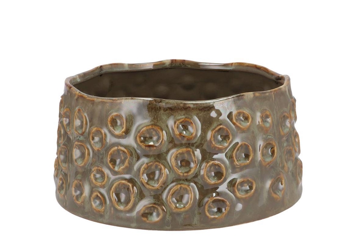 <h4>Alora Majestic Green Pot 20x20x10cm</h4>