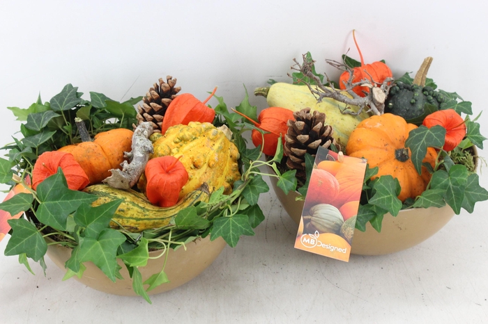 <h4>arr4 Sierfruit MB - Kunststof coupe x5</h4>