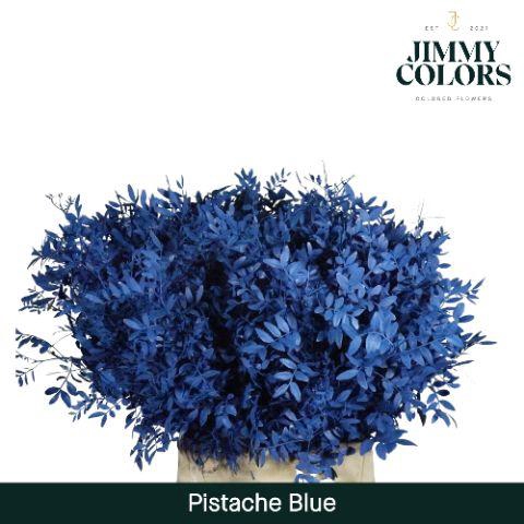 <h4>Pistache L45 Blue</h4>