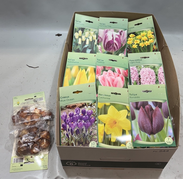 <h4>BLOEMBOL OV</h4>