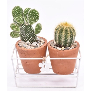 Metaal rekje met 2 terra potje 7cm