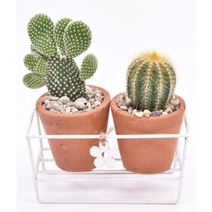 Metaal rekje met 2 terra potje 7cm