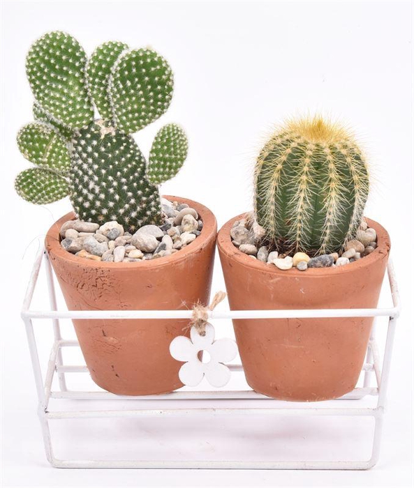 <h4>Metaal rekje met 2 terra potje 7cm</h4>