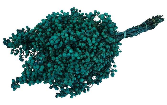 Pepperberries per bunch in poly Turquoise