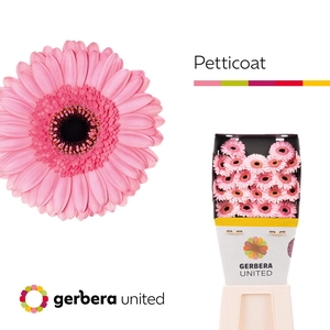 Germini Petticoat Diamond