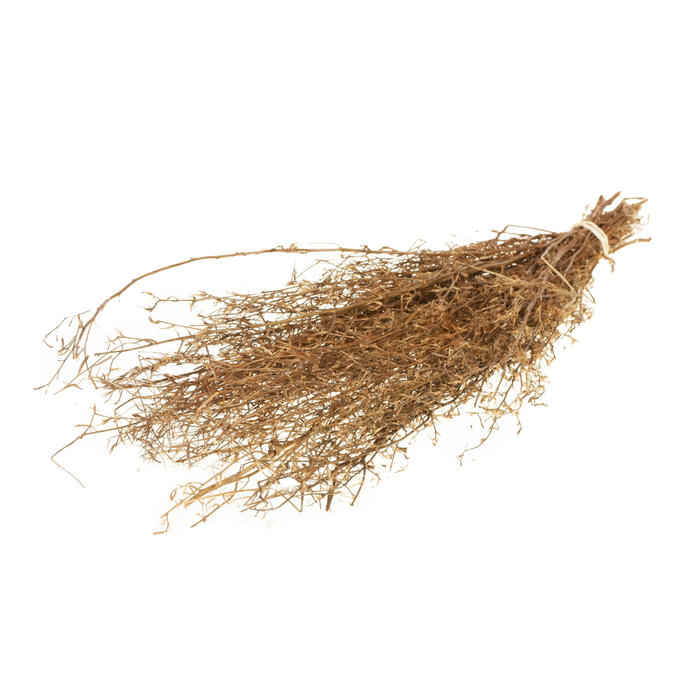 <h4>Chilli Grass 100gr 60-70cm Natural</h4>