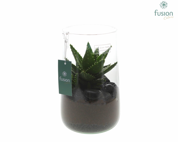 <h4>Green Bottle Deline Large met Aloe</h4>