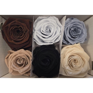 Ro Pres Classic Mix Earth