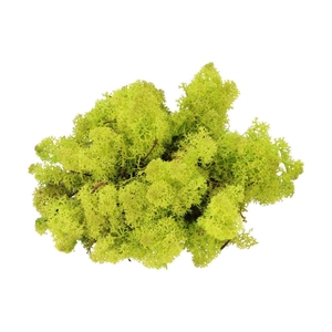 Mos Iceland Springgrn 500 Gram