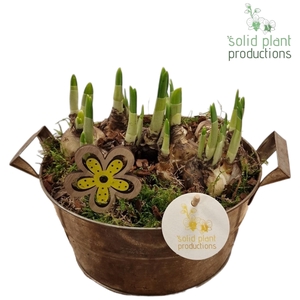 ZTE004 Antique Zinc Tête-á-Tête