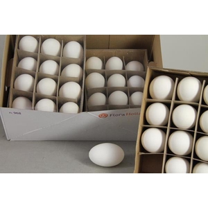 Egg Goose Natural Box(12pcs)