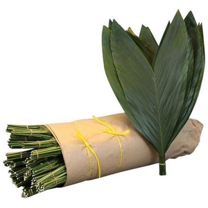 Cocos Super Rol