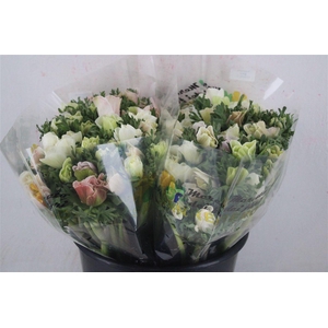 Anem Mistral White Salmon