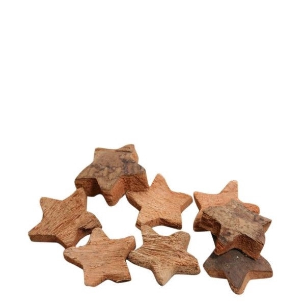 <h4>Kerst Deco ster coco d04.5cm x100</h4>
