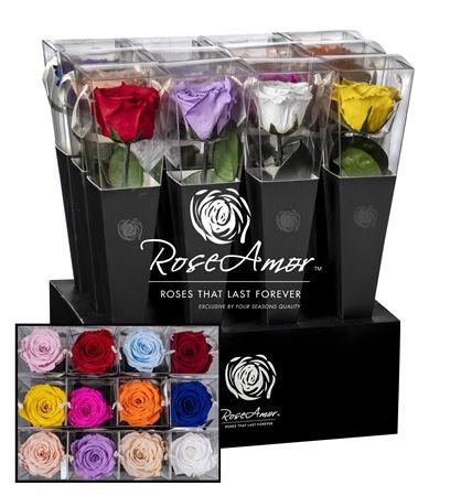 <h4>Lori 30cm Assorted</h4>